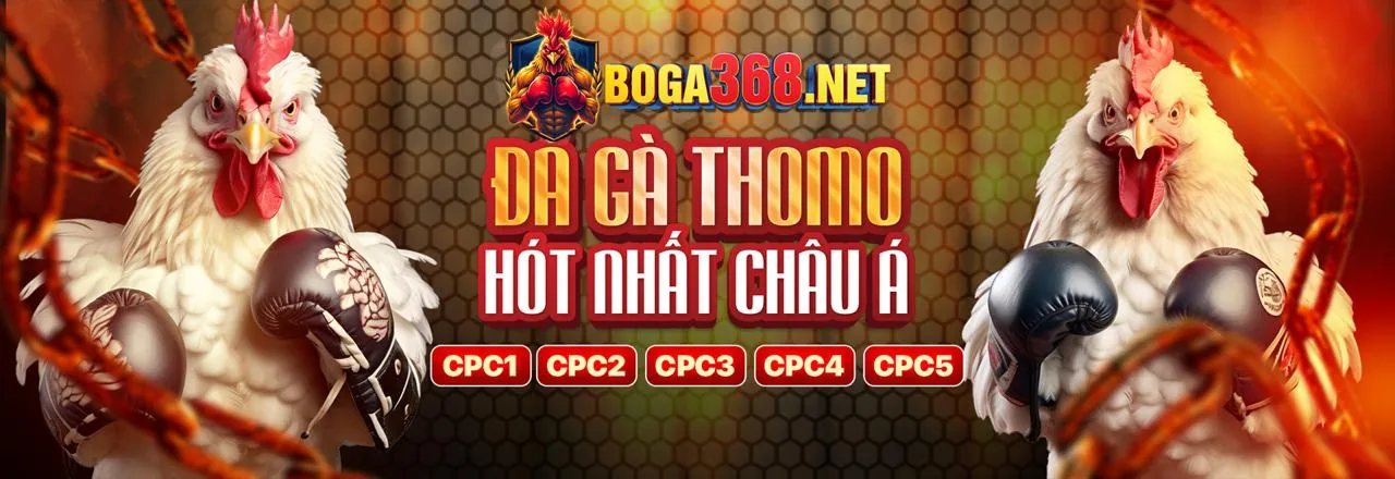 Minh họa các bước đăng nhập GK8888